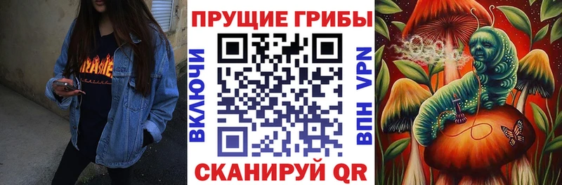 где купить   Пересвет  Псилоцибиновые грибы MAGIC MUSHROOMS 